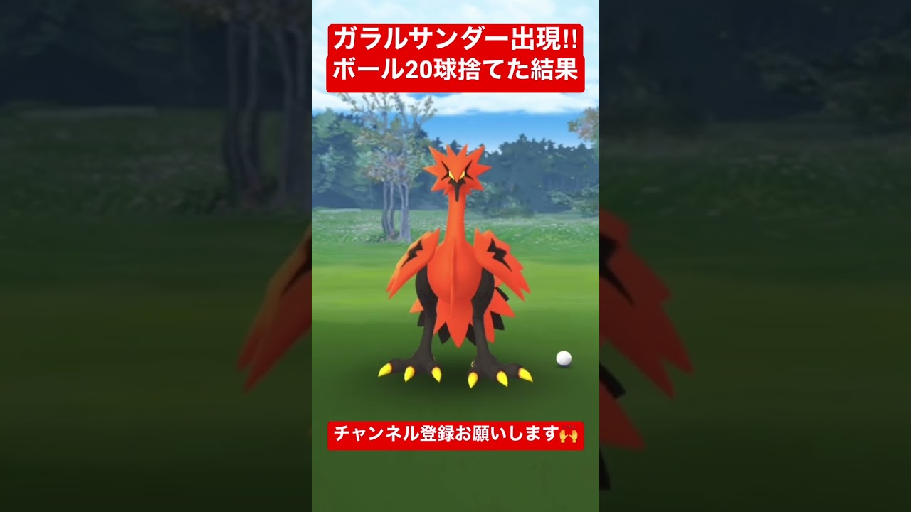 おさんぽおこうでガラルサンダー降臨！ボール20球捨てた結果【ポケモンGO】