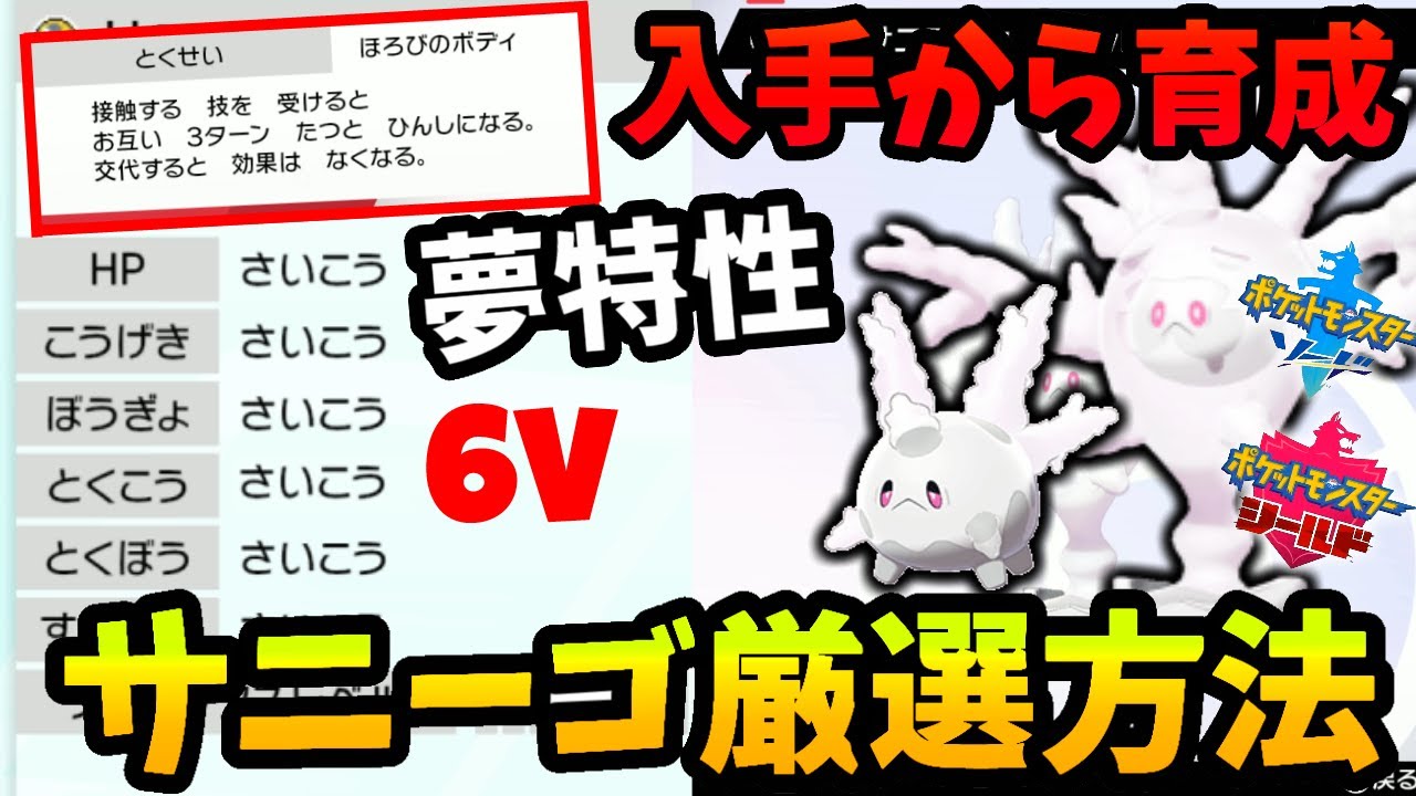 【ポケモン剣盾】この動画を見れば誰でも夢特性の最強サニーゴの入手から育成までが簡単にできる！！