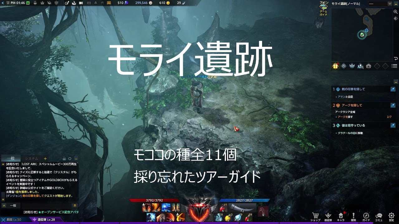 モライ遺跡 モココの種全11個 採り忘れ ツアーガイド #ロストアーク #LostArk