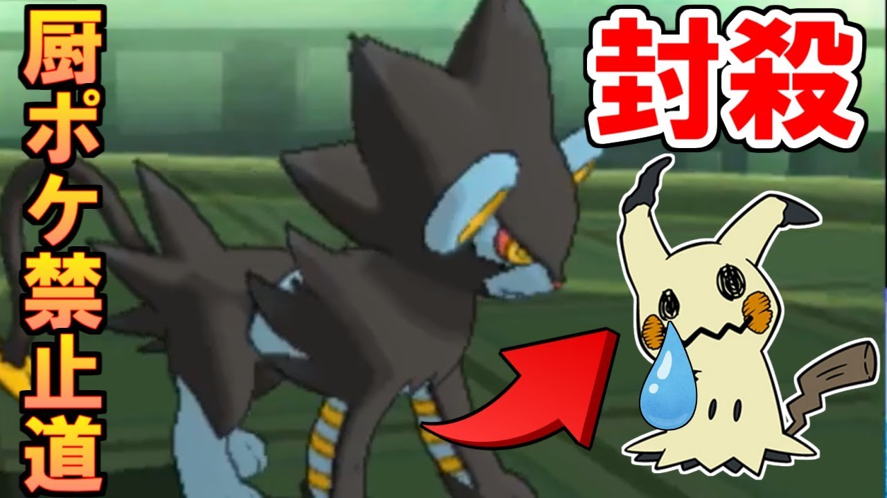 【ポケモンUSUM】使用率１位のミミッキュを倒せる神ポケを見つけた！【厨ポケ禁止道】