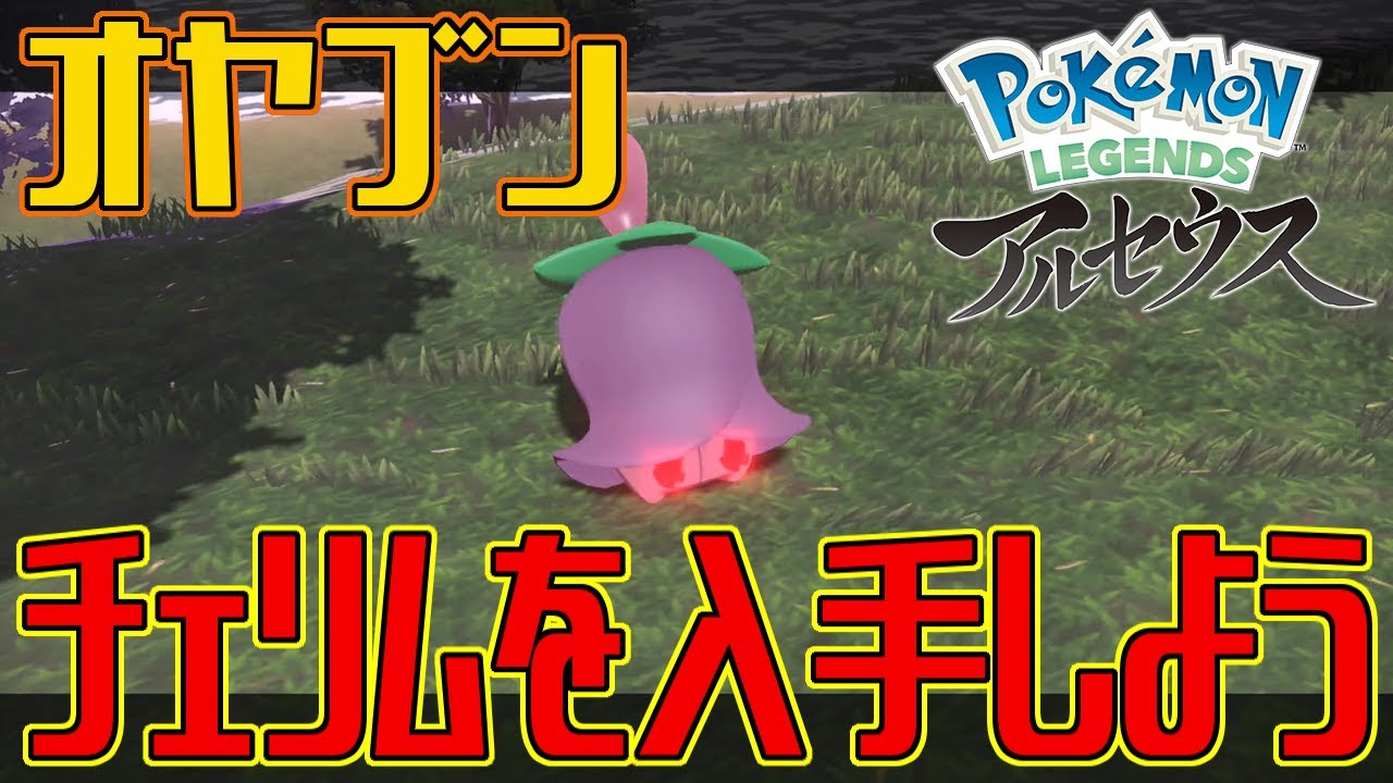 【ポケモンアルセウス】オヤブンのチェリムを入手しよう【Pokémon LEGENDS アルセウス】