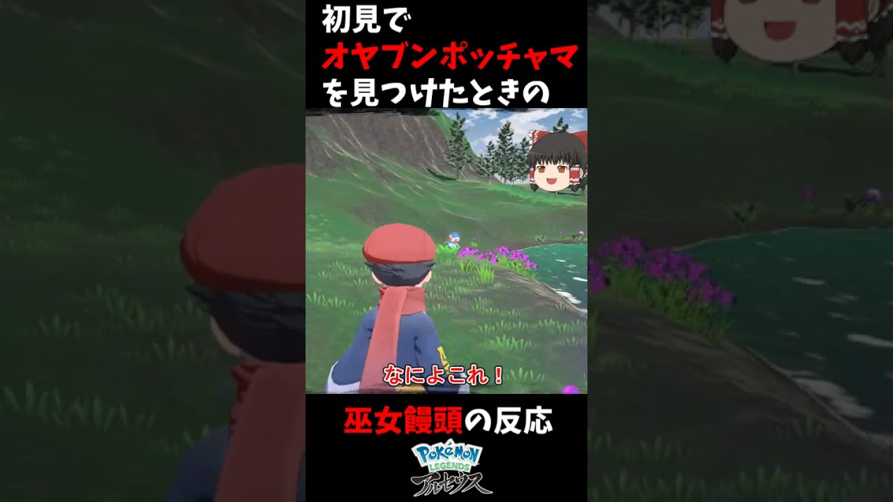 【レジェンズアルセウス】オヤブンポッチャマを発見したときの巫女饅頭の反応【ゆっくり実況】 #Shorts