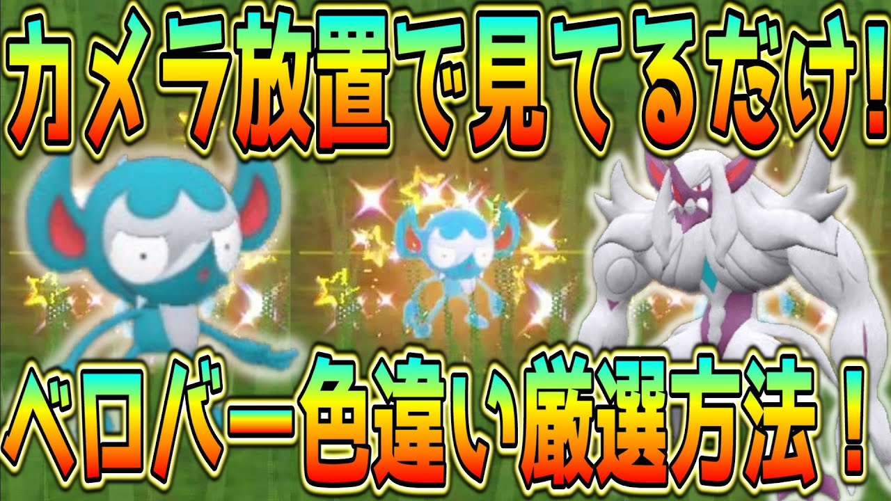 カメラ放置！見ているだけのベロバー色違い厳選方法！【ポケモンSV】