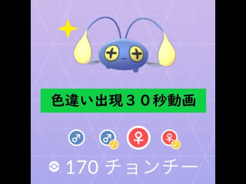【Pokémon GO】Rarity ”B”＃170 チョンチー ☆shiny☆#Shorts