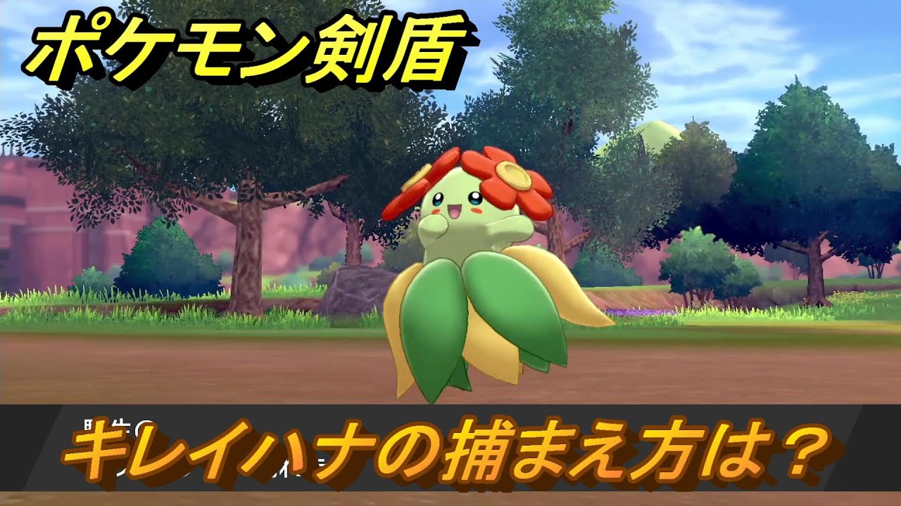 ポケモン剣盾　キレイハナを捕まえる方法！オススメの場所は？天気は？ポケモン図鑑コンプへの道！　最新版【ポケモンソード・シールド】