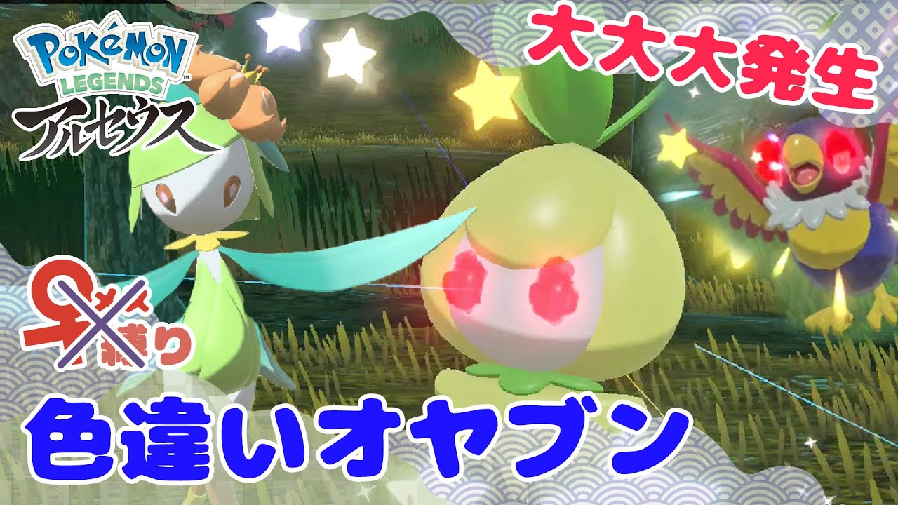 【レジェアル色厳選】逃げちゃう系ポケモン残し厳選！色オヤブンチュリネが欲しい！【♀縛り】【Pokémon LEGENDSアルセウス】【ゆっくり実況】
