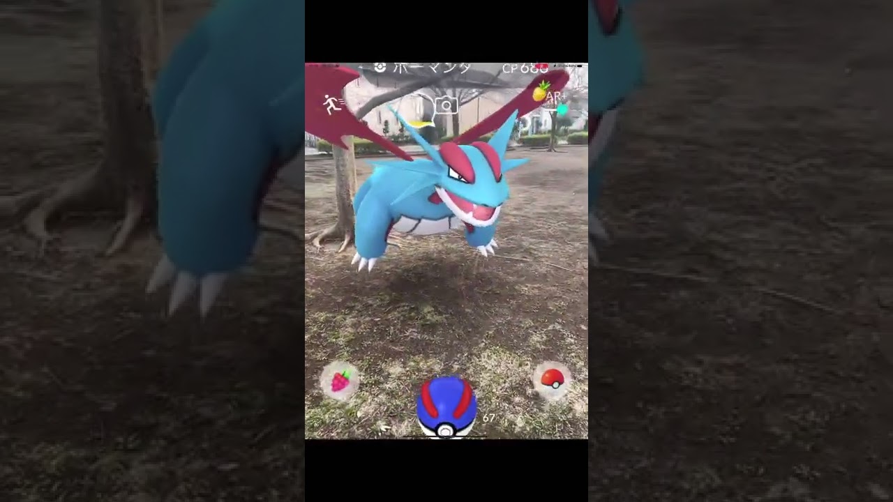 や、、野生でボーマンダぁー。#ポケモンGO#Shorts#PokemonGO 【Salamence】
