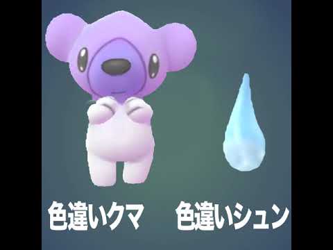 とってもほしい色違いクマシュン【2020.12.18UP】