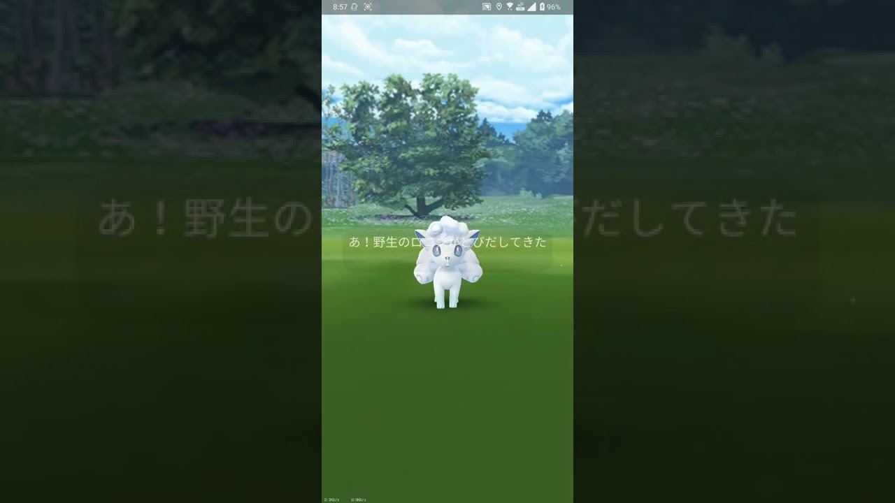 【ポケGO 2022】074：大発見！「204回目：アローラロコン(星の砂3000+モンスターボール20個]」