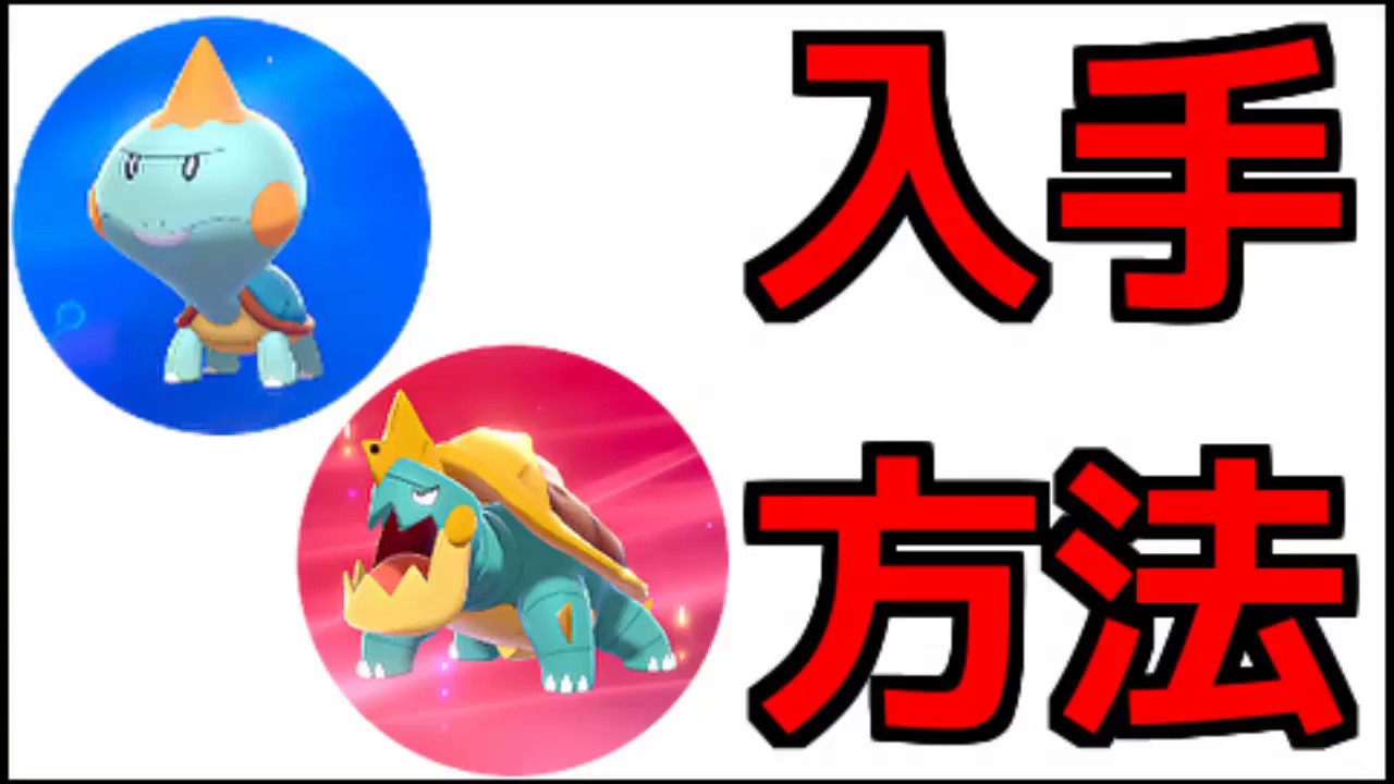 【ポケモン ソード】カムカメ、カジリガメ 出現場所 進化方法『ポケットモンスター ソード・シールド』