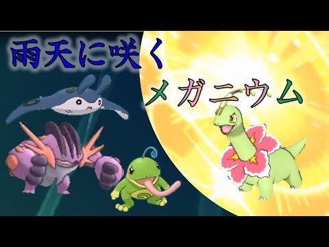 【不遇でGO】Part12 雨天に咲くメガニウム