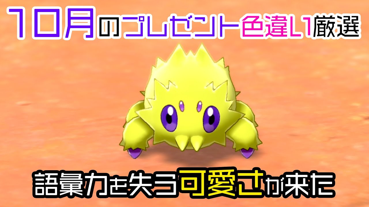 【プレゼント色厳選日記】バチュルが語彙力を失うほど可愛い件【ポケモン剣盾】