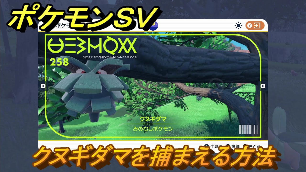 ポケモンＳＶ　クヌギダマを捕まえる方法！出現場所は？図鑑No.２５８　ポケモン図鑑を埋めよう！　【スカーレット・バイオレット】