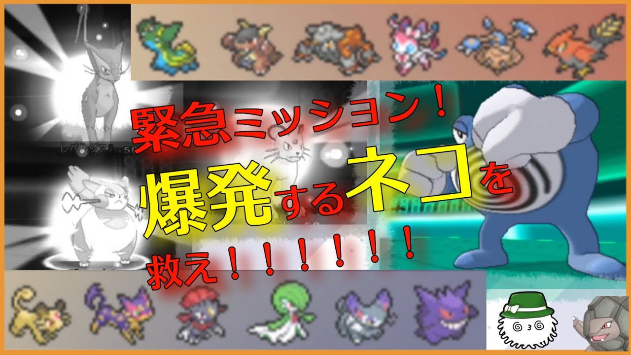 【 #トリプルバトル2021 】ブニャット！？爆発する！レパルダス！？爆発する！！ペルシアン！？……爆発する！！！！！【BV配信切り抜き】