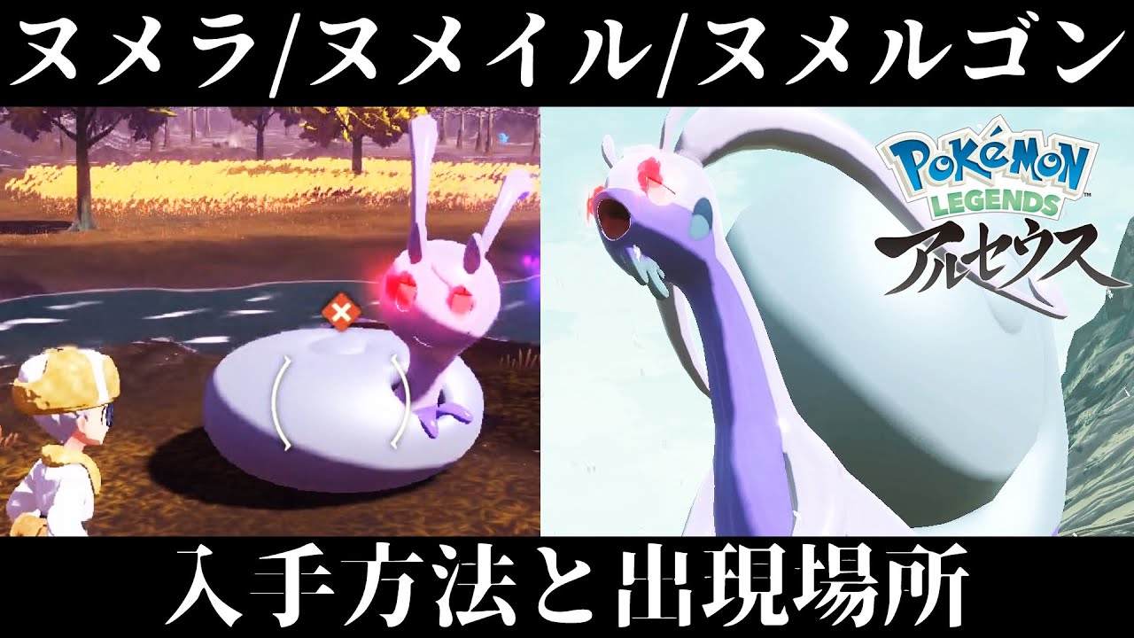 【ポケモンアルセウス】ヌメラ/ヌメイル/ヌメルゴンの入手方法/出現場所！おやぶんも捕獲できるぞ！！ヒスイの姿可愛いよなぁ！？【レジェンズ】
