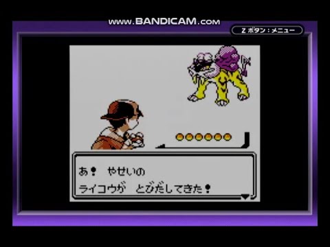 【実況】エンテイ&ライコウ! Part27【ポケモンクリスタル】