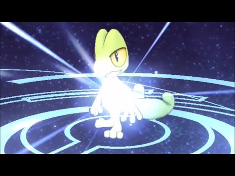 【ポケマス】おや⁉︎キモリのようすが、、