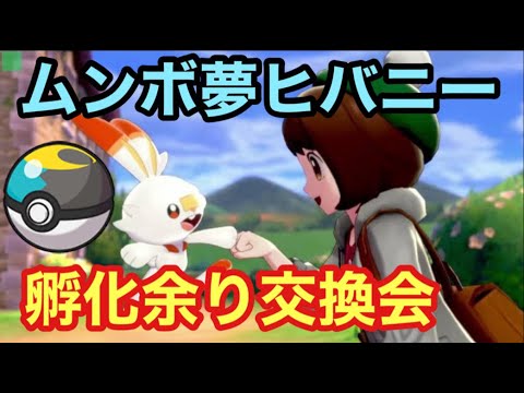 【孵化余り交換会】ムンボ夢ヒバニーの孵化余り流します【ポケモンSV】