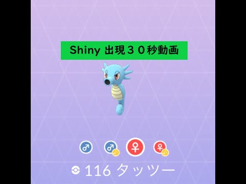 【Pokémon GO】Rarity ”B”＃116 タッツー ☆shiny☆#Shorts