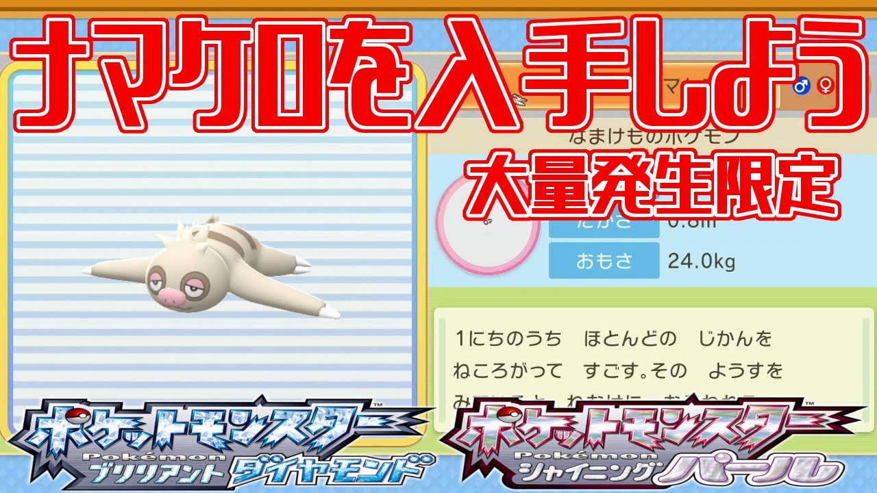 【ポケモンダイパリメイク】ナマケロを入手しよう 大量発生限定 ハクタイの森【ポケットモンスター ブリリアントダイヤモンド・シャイニングパール】Pocket Monsters