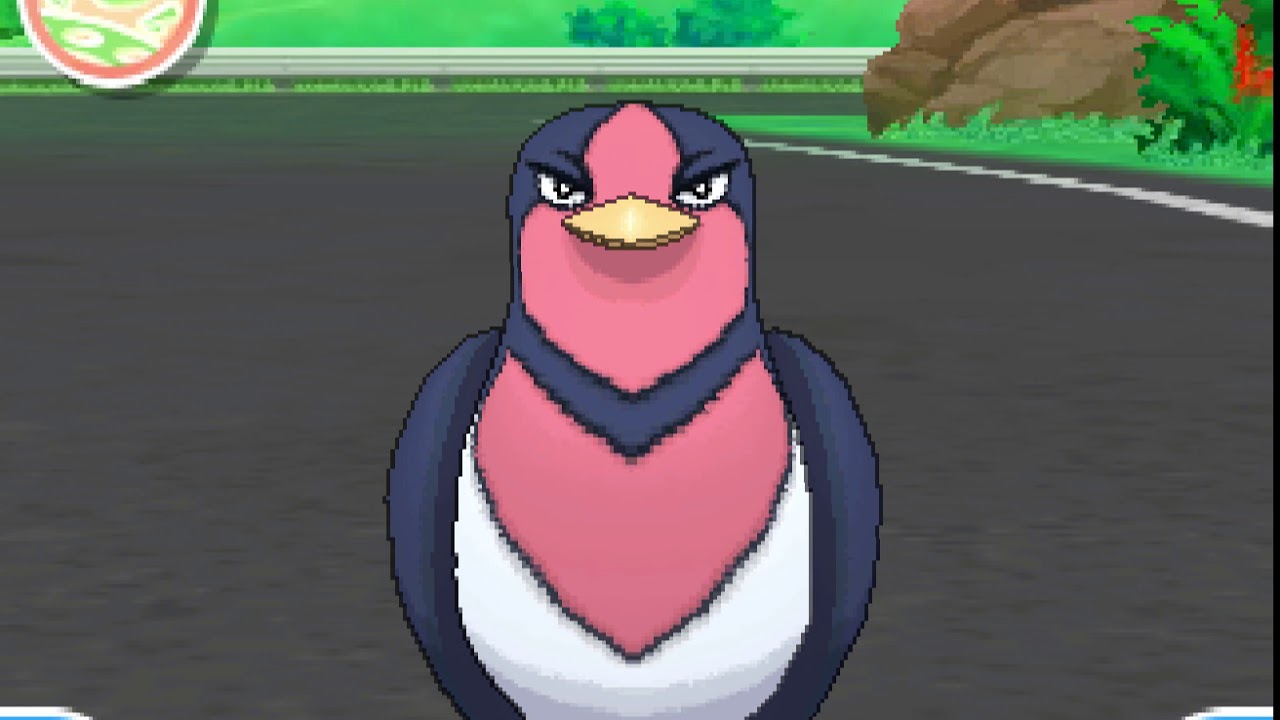 ポケリフレ　オオスバメと戯れるだけの動画