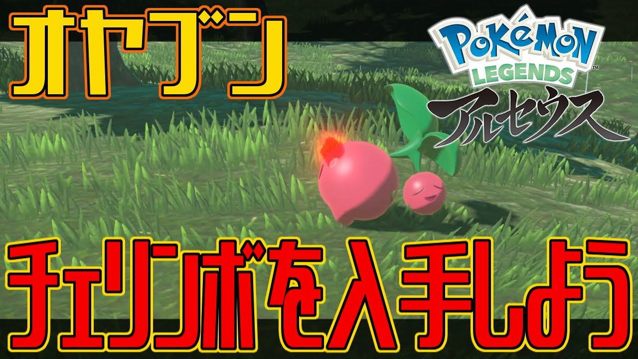 【ポケモンアルセウス】オヤブンのチェリンボを入手しよう【Pokémon LEGENDS アルセウス】