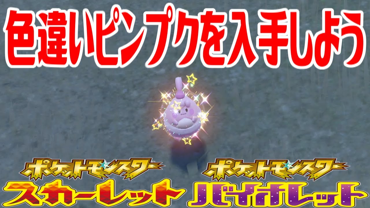 【ポケモンSV】色違いピンプクを入手しよう【ポケットモンスター スカーレット・バイオレット】Pocket Monsters