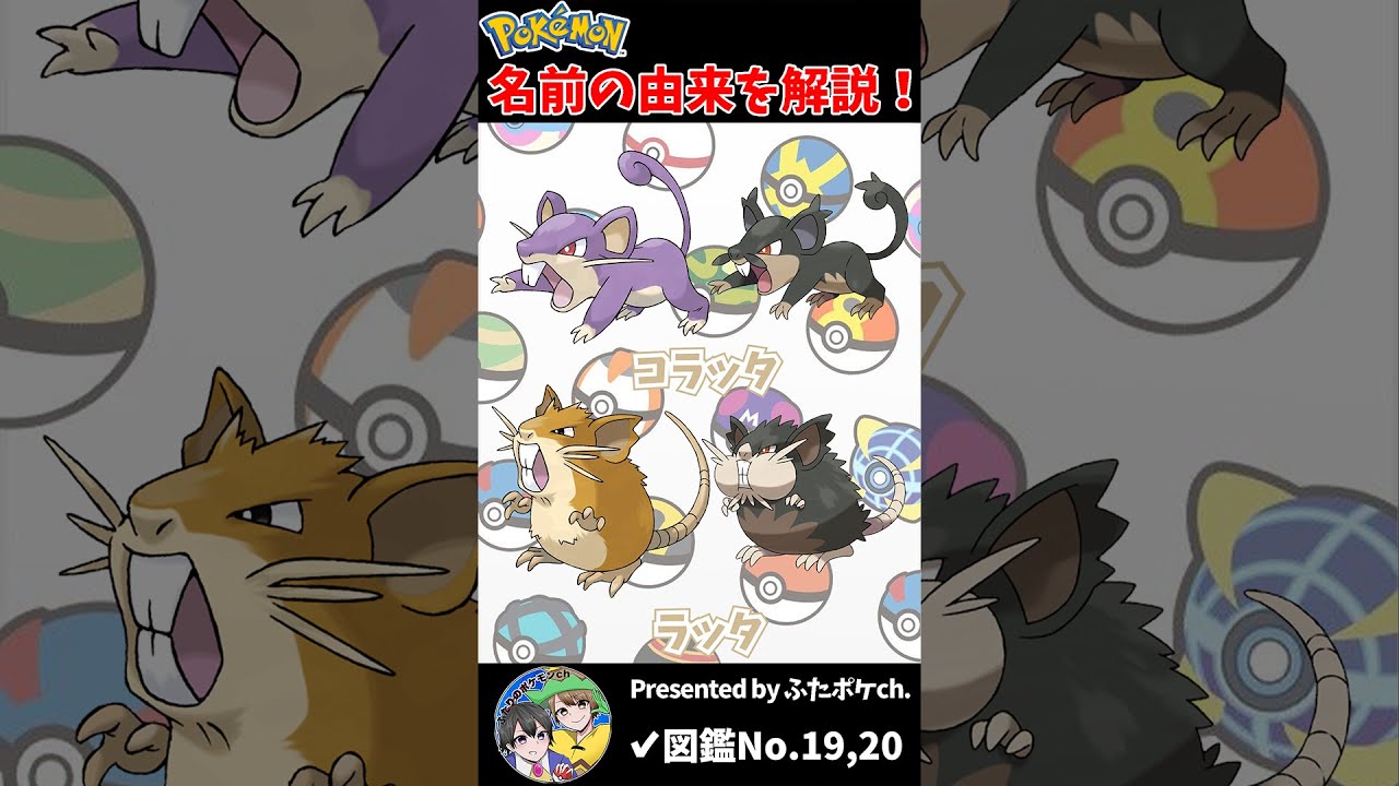 ポケモン名の由来『コラッタ・ラッタ』 #Shorts