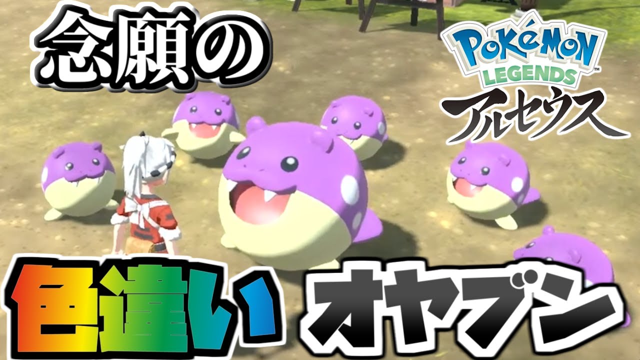 ついに色違いオヤブンタマザラシと出逢えたぞ!!!【ごまちゃん切り抜き】【ポケモンLEGENDSアルセウス】