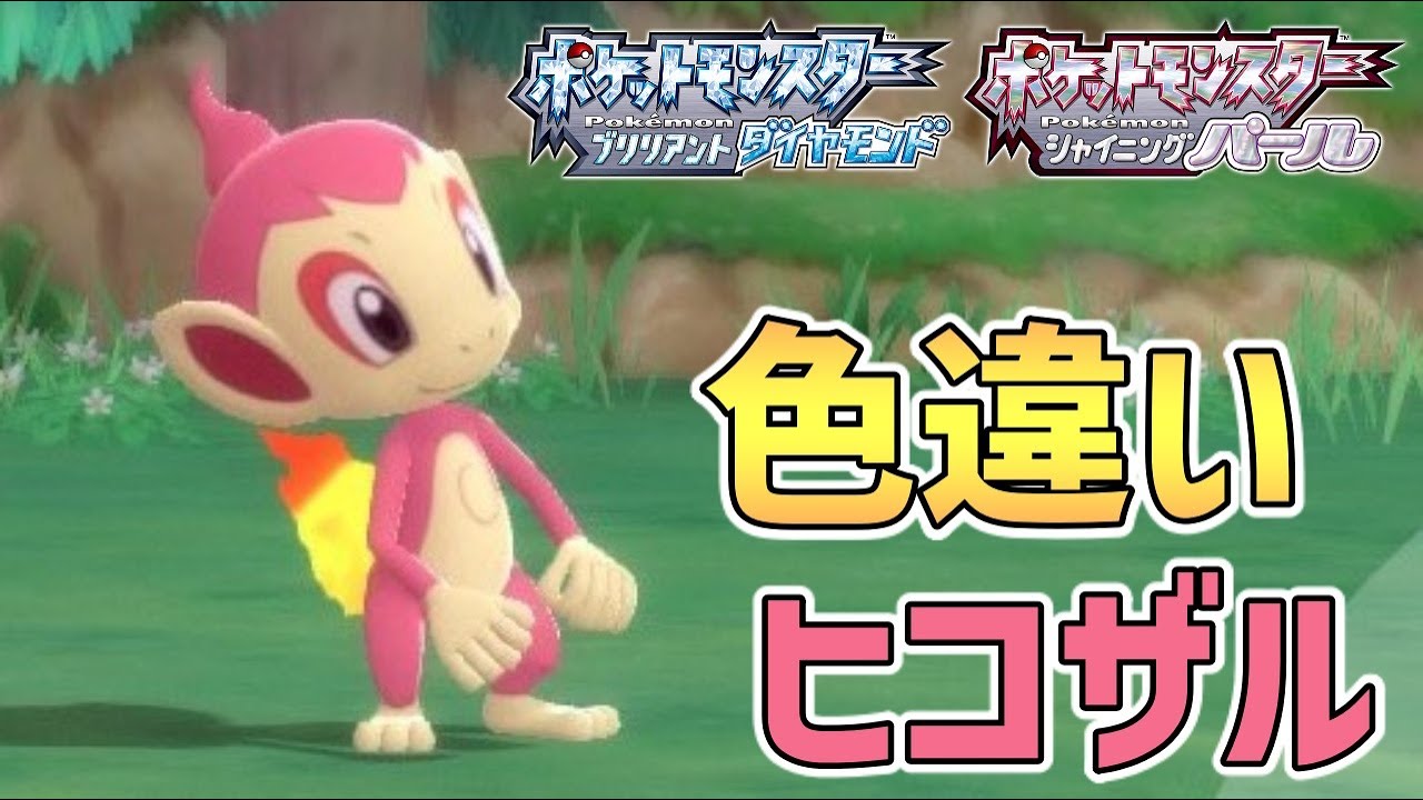 【色違い御三家】とうとう色違いヒコザルを光らせた男【ポケモンBDSP】