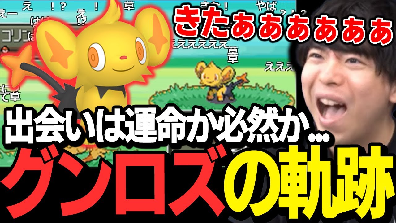 【もこう】配信開始40分！！？色違いコリンク(グンロズ)との出会いが運命的すぎるｗｗｗ【ポケモン 切り抜き】