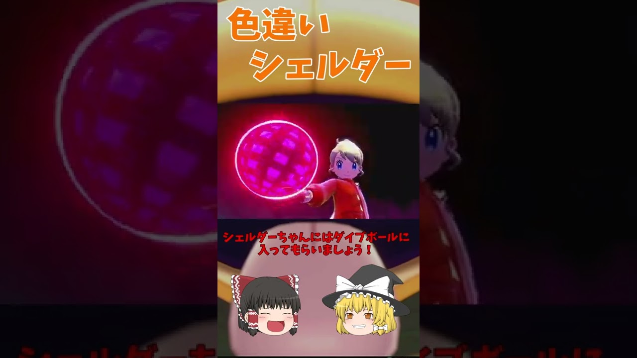 色違いシェルダー確率UPレイド！