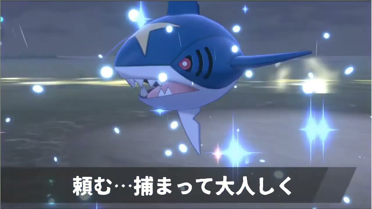 サメハダーと感動的な再会を果たすもこう【ポケモン】