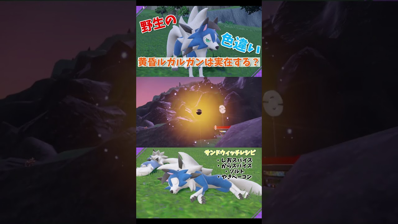 【ポケモンSV】"野生の色違い"たそがれルガルガンは実在する？【#shorts 】