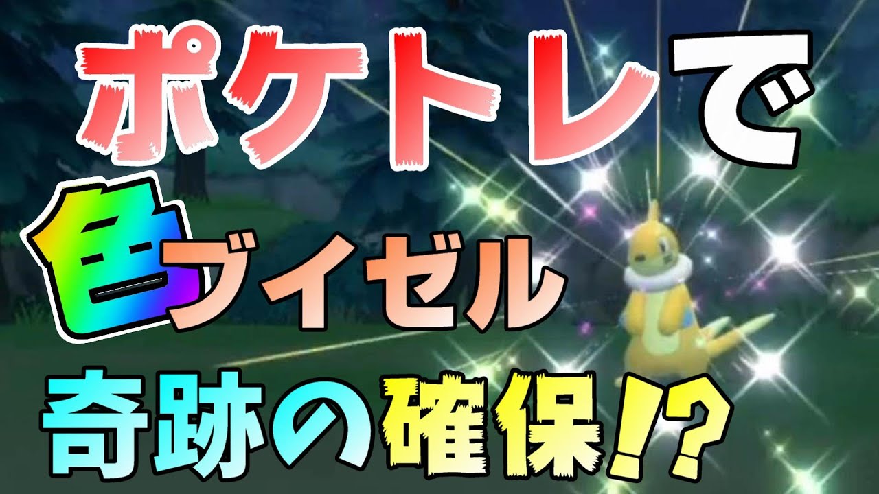 【ポケモンBDSP】ポケトレで色違いブイゼルが出た！！【ダイパリメイク】