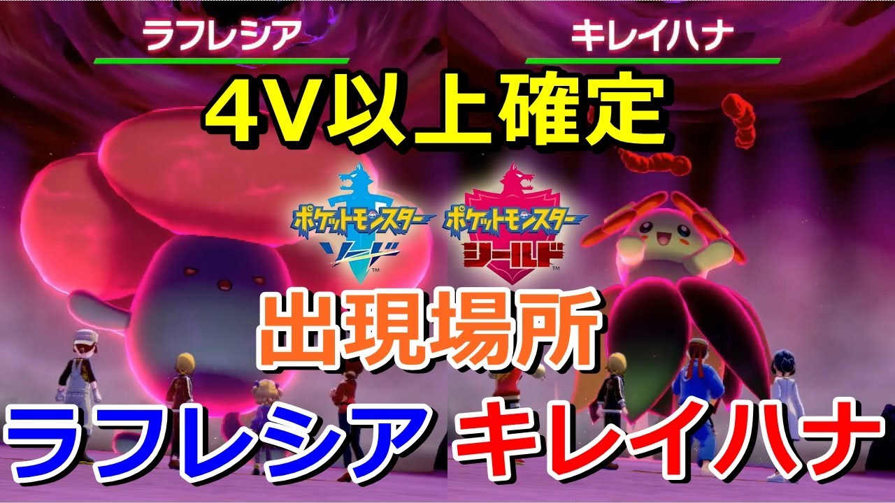 【ポケモン剣盾】『ラフレシア・キレイハナ』が出るレイドの巣穴の出現場所・入手方法！実況解説【ソード・シールド】ニャン速ちゃんねる