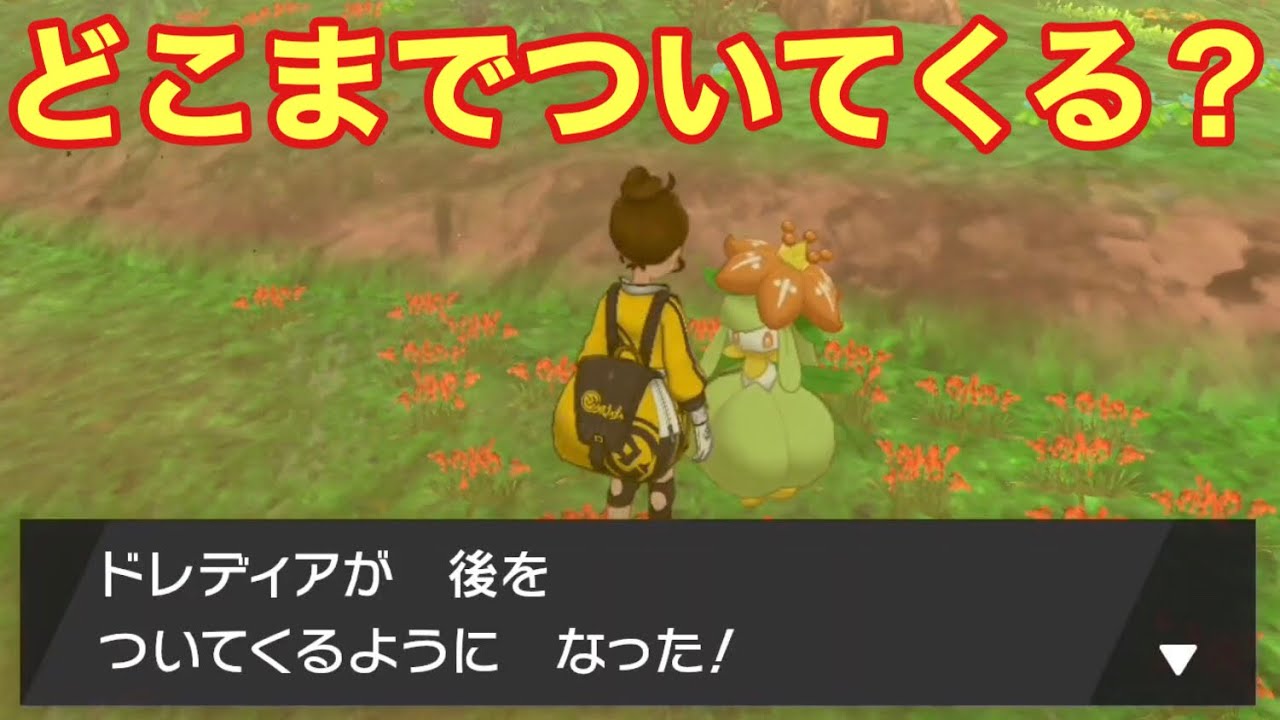 小検証集！チェリムを連れ歩くとフォルムチェンジは？ダクマで二つの塔をクリアできる？ドレディアはどこまでついてくる？【ポケモン剣盾／鎧の孤島】