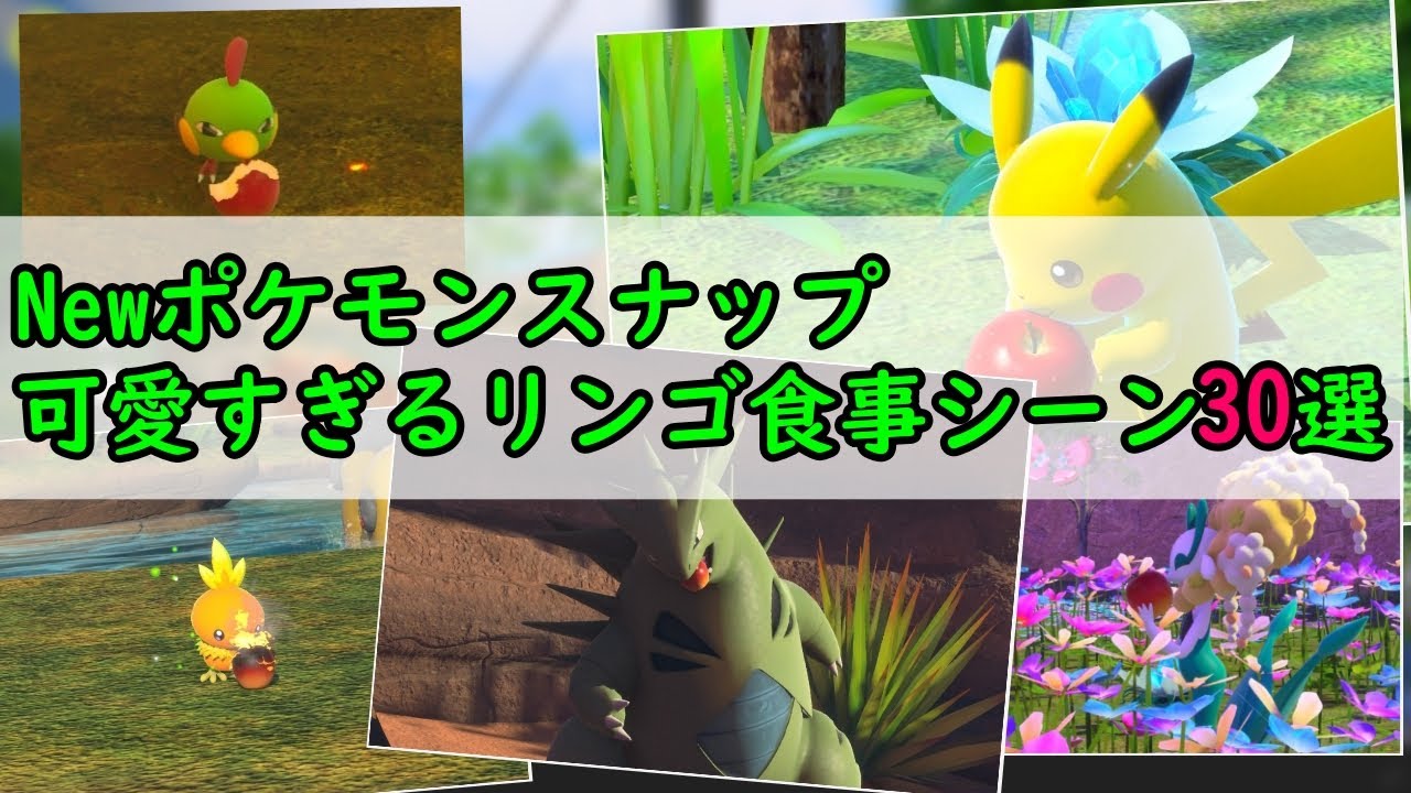 可愛すぎるふわりんご食事シーン30選①【New ポケモンスナップ】
