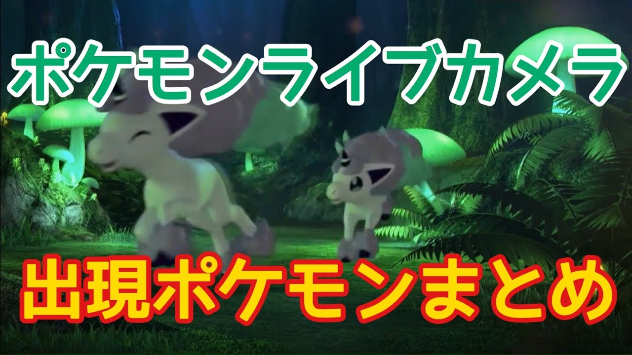 【ポケモン剣盾】ポケモンライブカメラ 出現ポケモンまとめ【ポケットモンスター ソード・シールド 】