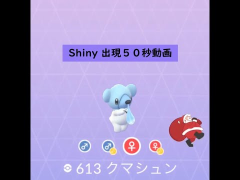 【Pokémon GO】色違い 出現50秒動画 ＃613 クマシュン(Holiday) ☆shiny☆#Shorts