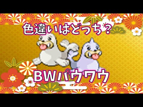 【色廃格付けチェック】～色違いパウワウ～ #shorts