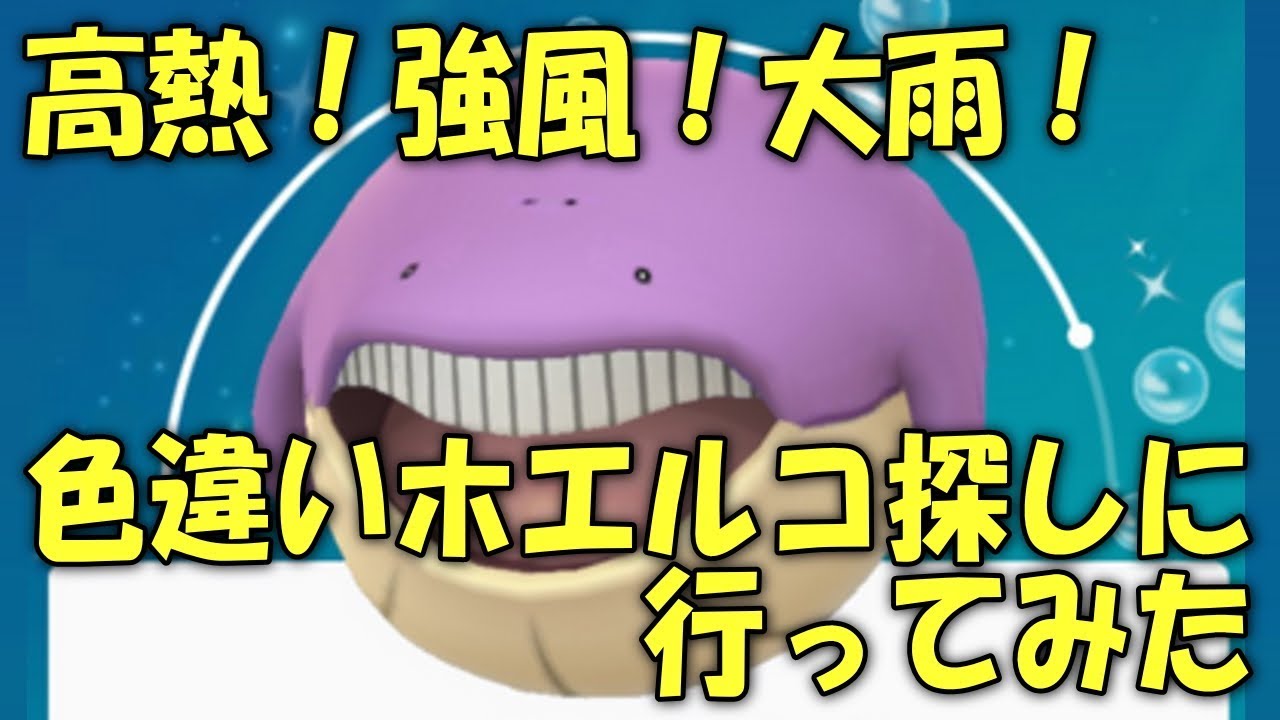 高熱！強風！大雨！色違いホエルコ探しに行ってみた Shiny Pokémon GO