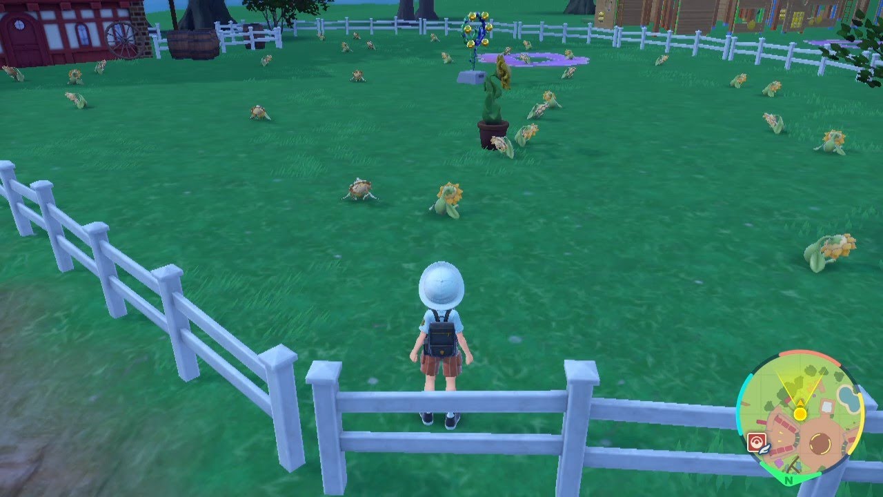 【ポケモンSV】キマワリ30匹が一斉に目覚める瞬間＆眠る瞬間