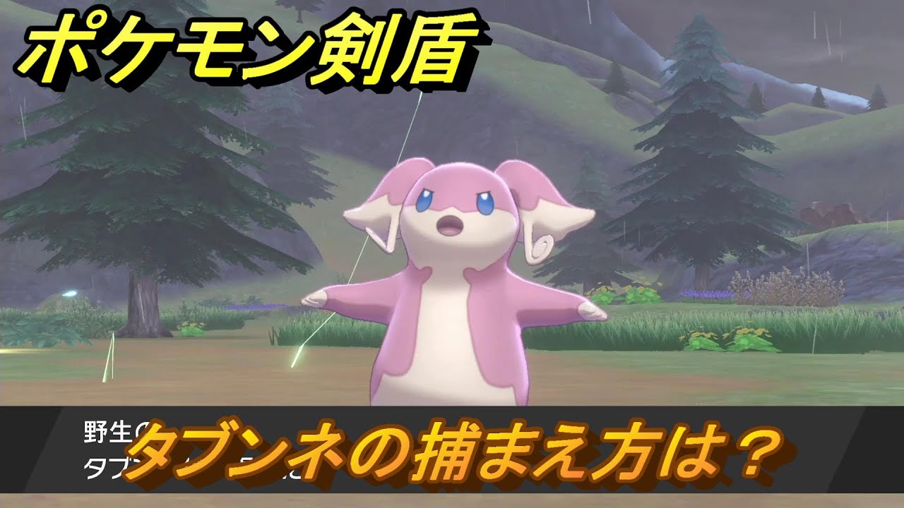ポケモン剣盾　タブンネを捕まえる方法！オススメの場所は？天気は？ポケモン図鑑コンプへの道！　最新版【ポケモンソード・シールド】