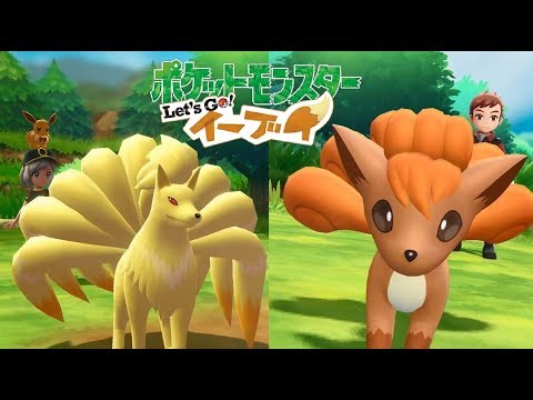 【ピカブイ】ロコン&キュウコンのマスタートレーナーとバトル！【ポケモンレッツゴー イーブイ】