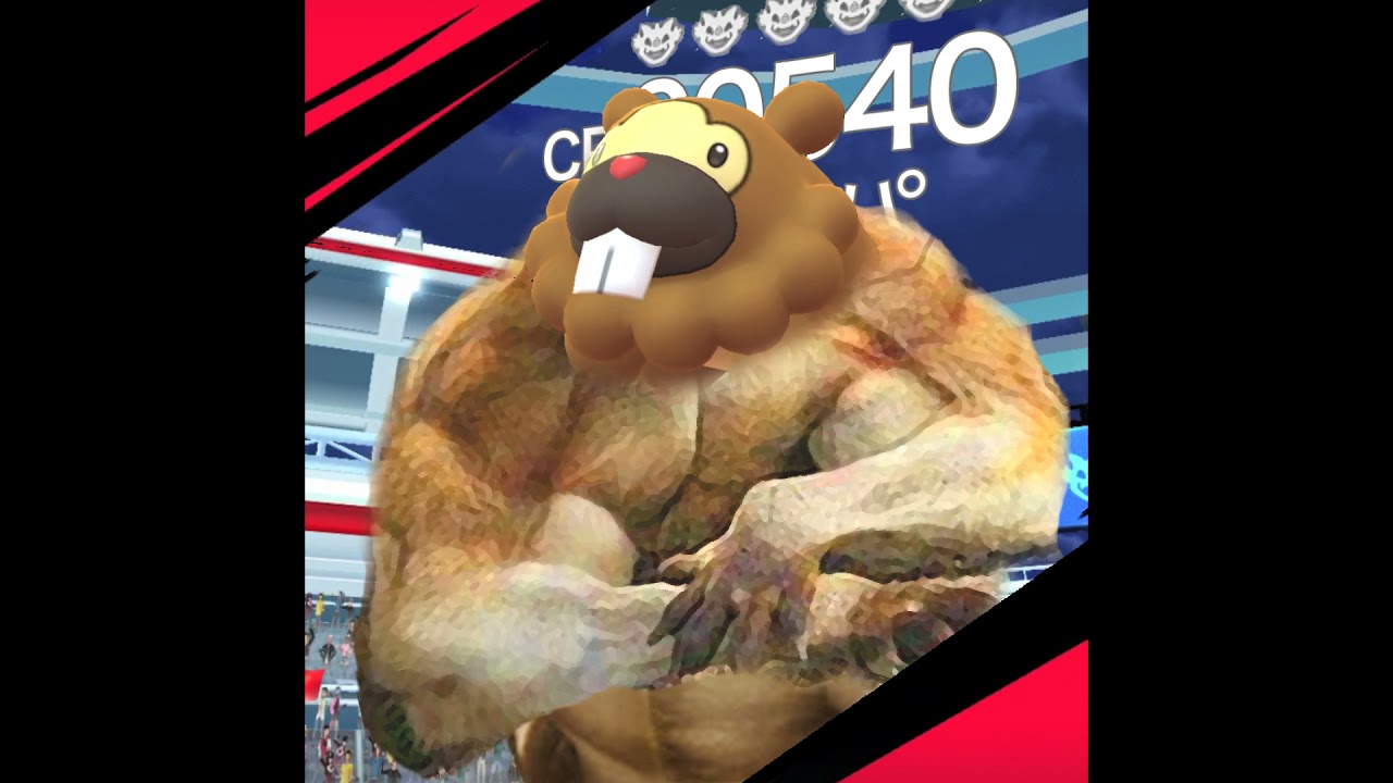 おそらくこうなる伝説レイドのビッパ【2021.6.30UP】