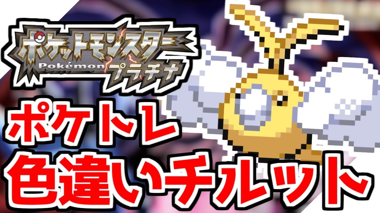 【ポケモンDPPt】色違いチルットをポケトレでゲットしたい！ 【ポケトレ】