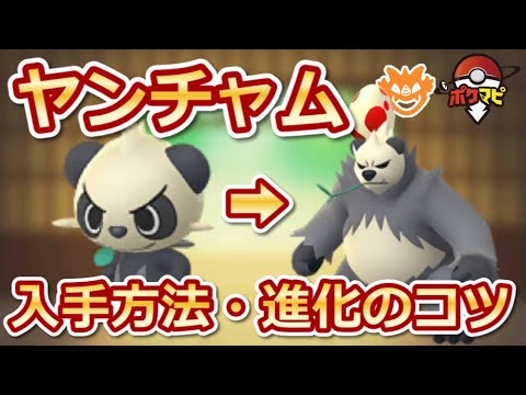【ポケモンGO】ヤンチャムの入手方法は？ゴロンダへの進化のコツや、注意点まとめ【フェアリーレジェンドX・Y】
