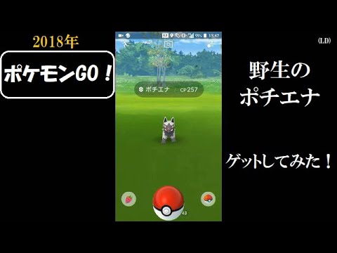 ☆ポケモンGO！☆ （野生のポチエナをゲットしてみた！の巻）・2018年