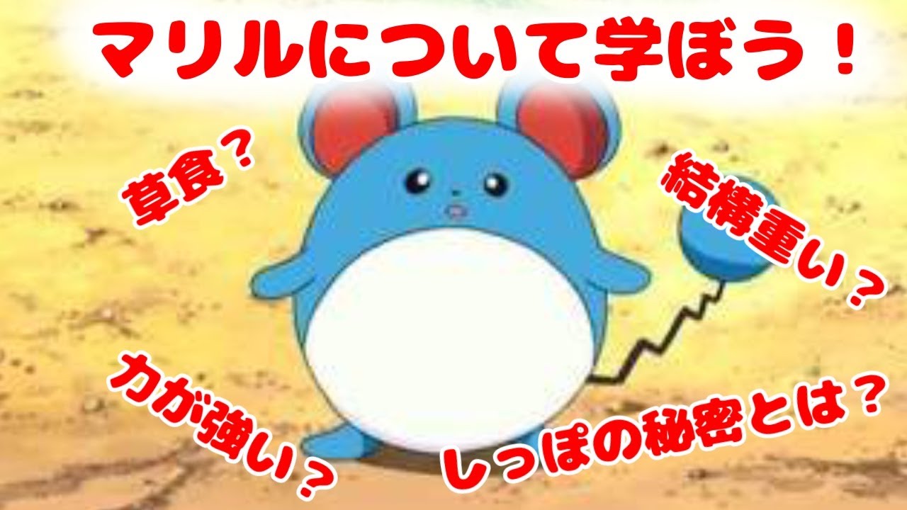 マリルについて学ぼう！[再UP]